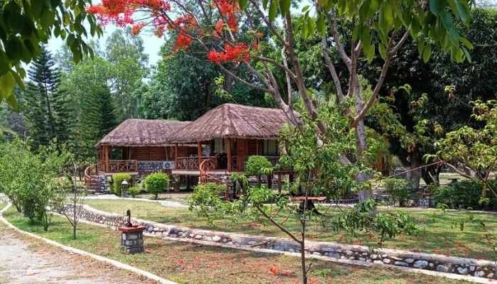Camp River Wild Resort
