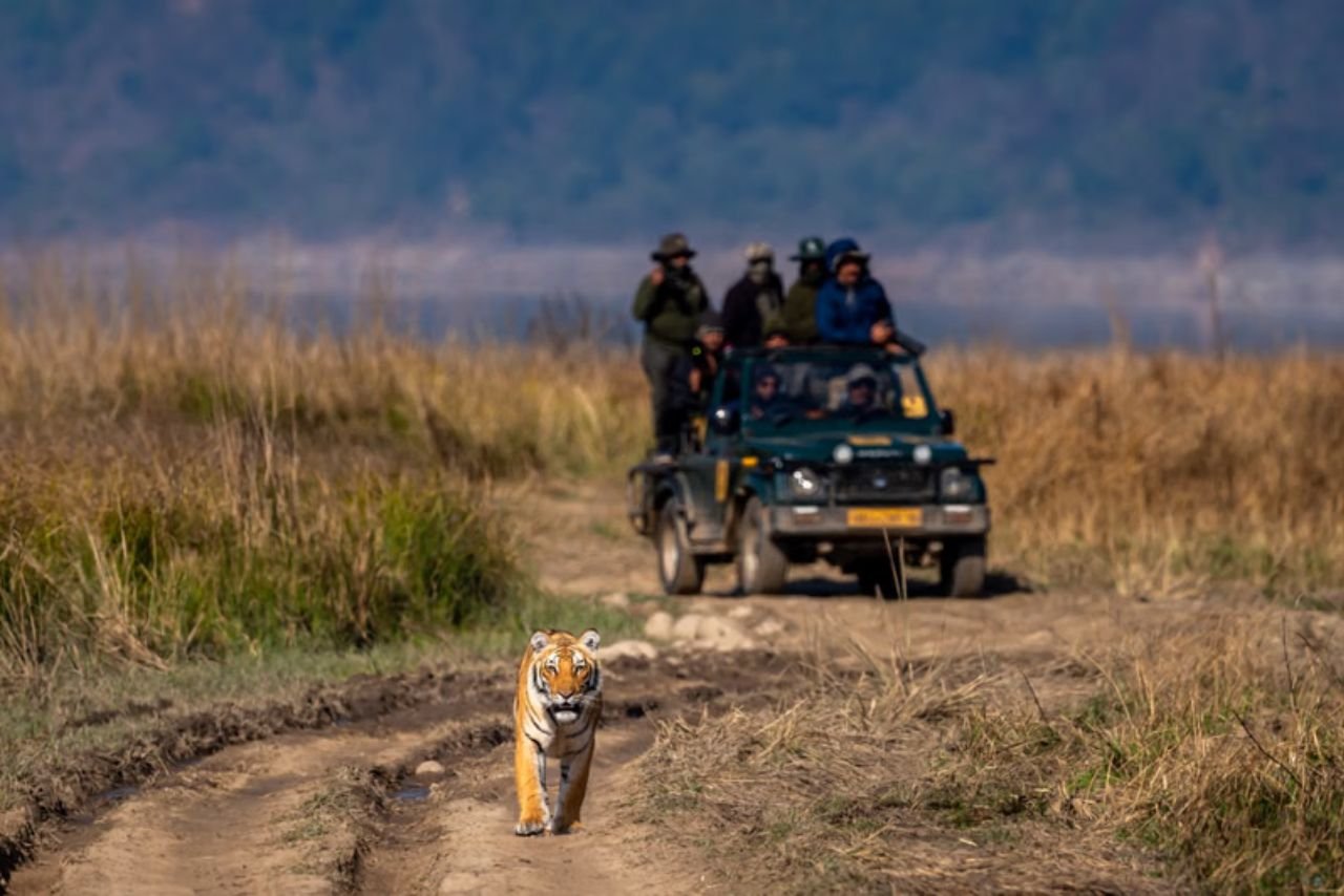 Corbett Leisure Tours - 2 Night Package
