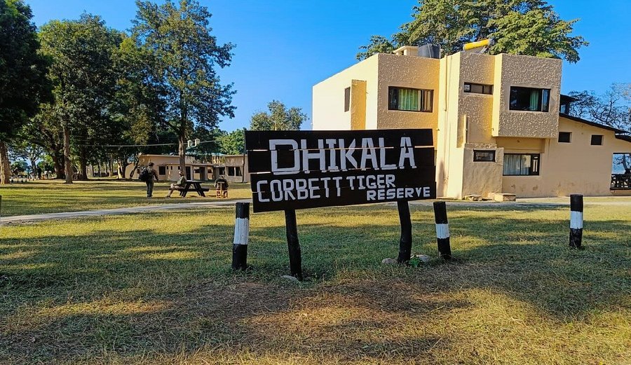 Dhikala Forest Night Stay